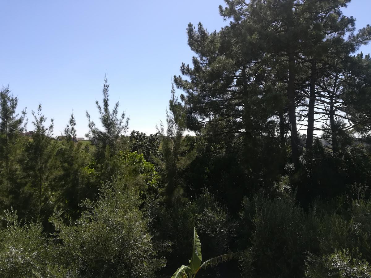 فيلا الكوباسافي Quinta Vale Real المظهر الخارجي الصورة