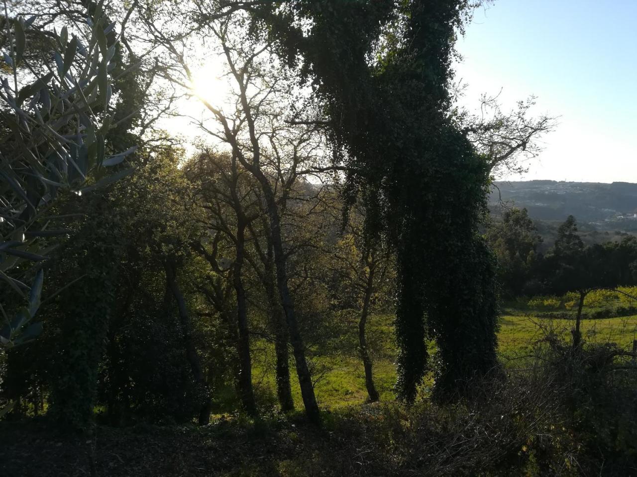 فيلا الكوباسافي Quinta Vale Real المظهر الخارجي الصورة